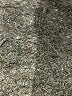 Glamorous Black Bodysuit Size XS - photo 5