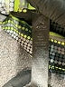 RBX Green Active Pants Size XL - photo 5
