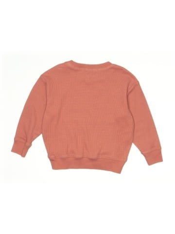 Member's Mark Sweatshirt (view 2)