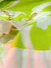 Flora Bea NYC Green Raincoat Size XS - photo 6