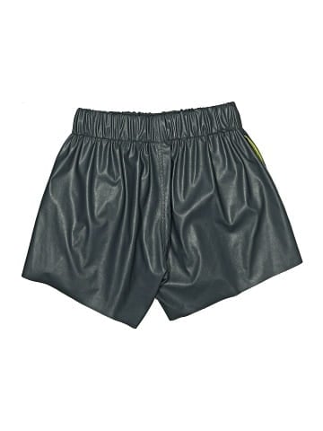 Noble 31 Faux Leather Shorts (view 2)