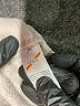 Head Tan Cargo Pants Size L - photo 7