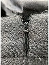 Prada 100% Wool Solid Black Casual Skirt Size EU (IT) 42 / US 6 - photo 5