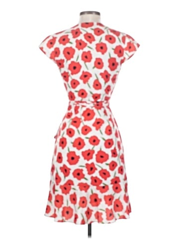 Slate & Willow Cocktail Dress - back