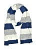 American Eagle Outfitters Stripes Blue Scarf One size - photo 1