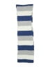 American Eagle Outfitters Stripes Blue Scarf One size - photo 2