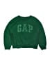 Gap Kids Green Pullover Sweater Size S (kids) - photo 1