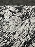 all in motion Print Silver Black Active Pants Size XXL - photo 4