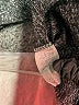 Coco And Main Black Turtleneck Sweater Size XL - photo 8