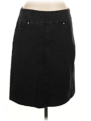 Chadwicks Denim Skirt (view 1)