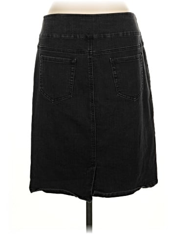 Chadwicks Denim Skirt (view 2)