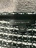 Ann Taylor Houndstooth Black Jacket Size L - photo 6