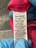 Marilyn Monroe Solid Pink Shorts Size 14 - photo 4