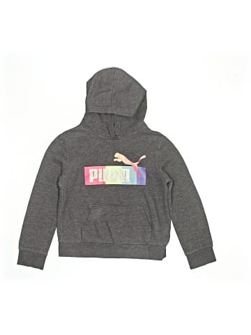 Puma Pullover Hoodie (view 1)