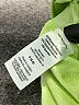 Athletic Works Green Athletic Shorts Size S - photo 4