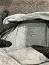 Lane Bryant Outlet Color Block Gray Active Pants Size 14 - 16 Plus - photo 7