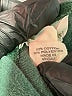 J.Crew Green Pullover Sweater Size M - photo 9