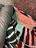 Veronica M. Animal Print Black Casual Dress Size XS - photo 7