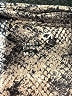 Gap Fit Animal Print Gold Shorts Size M (tall) - photo 3