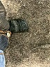 Signature Studio Blue Jeans Size 10 - photo 9
