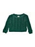 Wonder Nation Green Pullover Sweater 9-12 MO / 12 MO - photo 1