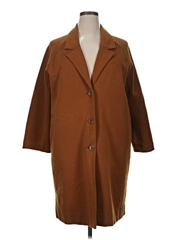 Everlane Coat (view 1)