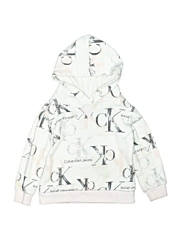 Calvin Klein Pullover Hoodie (view 1)