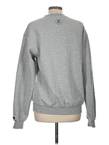 Champion Sweatshirt (view 2)