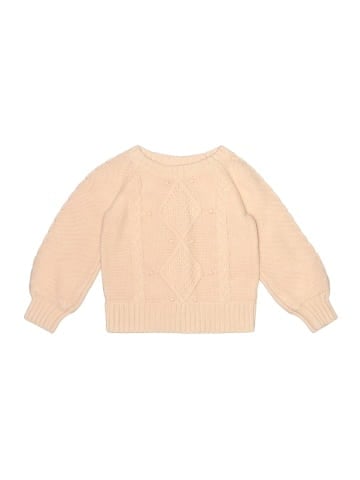 Baby Gap Pullover Sweater (view 1)