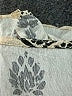 Unbranded 100% Polyester Ivory Long Sleeve Blouse Size 2X - photo 7