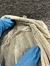 Miami Tan 3/4 Sleeve T-Shirt Size S - photo 8