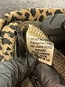 Altar'd State Animal Print Brown Casual Skirt Size L - photo 5