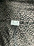 Three Dots 100% Viscose Black Cocktail Dress Size M - photo 7