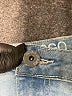 Grace Hearts Blue Jeans Size 13 - photo 7