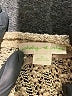Staring at Stars Tan Cardigan Size XS - photo 7
