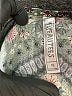 Beautees 100% Rayon Paisley Green Dress Size 10 - photo 3
