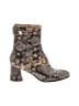 Joie Brown Boots Size EU 37 - photo 1