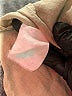 Sisley Tan Long Sleeve Blouse Size S (estimated) - photo 8