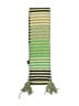 American Eagle Outfitters Stripes Green Scarf One size - photo 2