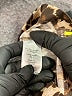 Naven Animal Print Gold Shorts Size XS - photo 4