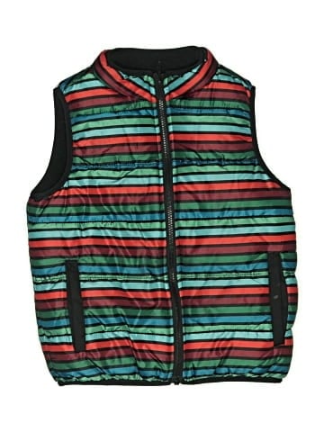 Gymboree Vest (view 1)