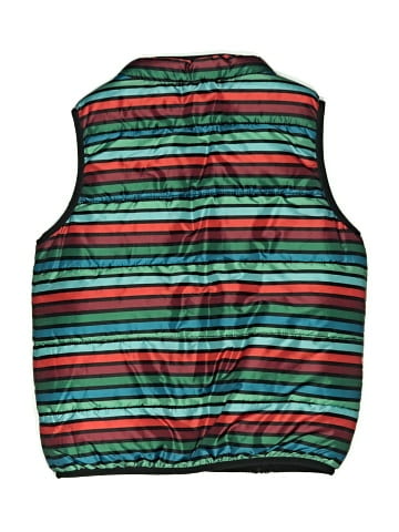 Gymboree Vest (view 2)
