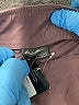 Eddie Bauer Solid Purple Active Pants Size L - photo 6