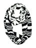 Express 100% Viscose Stripes Black Scarf One size - photo 1