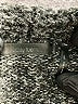 Daisy Fuentes Gray Cardigan Size L - photo 7