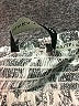 Ivanka Trump Silver Black 3/4 Sleeve Blouse Size XS - photo 7