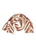 Marcus Adler Animal Print Ivory Orange Scarf One size - photo 1