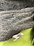 C9 By Champion Gray Black Active Skort Size L - photo 3