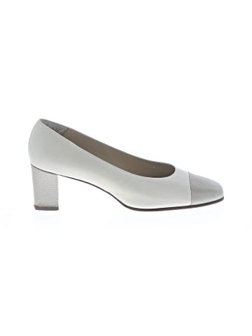 Bally Flats (view 1)
