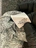 Gibson Gray Cardigan Size XS - photo 6